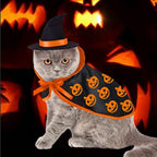 Pet Halloween Cape Hat Set Dogs Cute Costume Pet Party