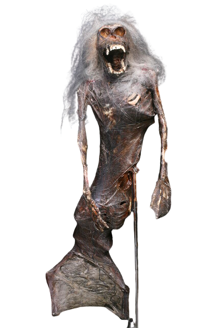 6ft Feejee Mermaid Prop with Stand
