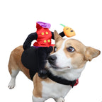 Funny Dog Halloween Costume