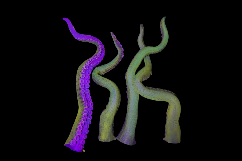 2ft Glowing Poseable Octopus Tentacle Prop