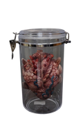 Alien Heart Specimen Jar