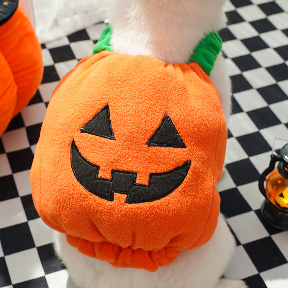 Halloween Pumpkin Vest for Dogs Cats Festive Pet Costume