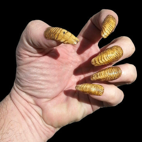 Creepy Claws: DEMONIC by Dental Distortions
