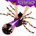 Light-Up Spider Pet Halloween Costume