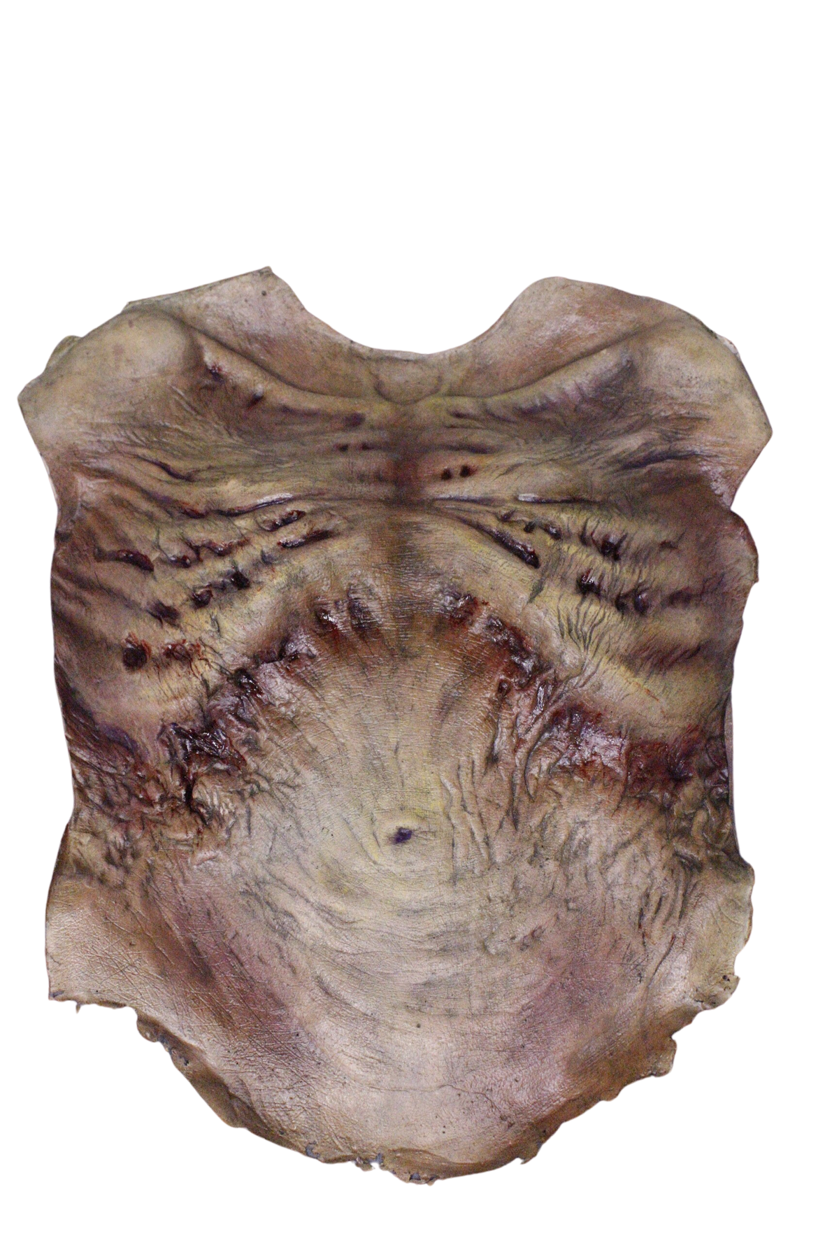 Zombie Torso Skin